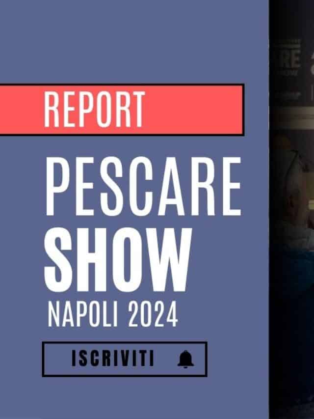 Video Report – pescare show Napoli 2024 – focus stand BOLSENA YACHTINH – SEASPIN – AIGUPP