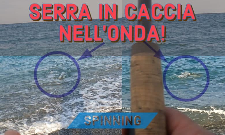 Come avere successo nelle prime battute di pesca in mare