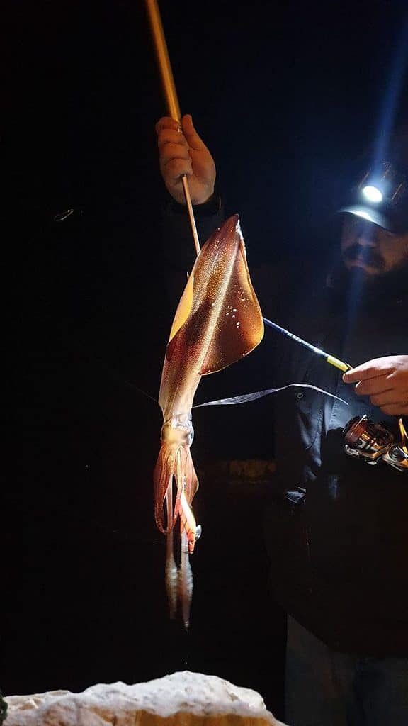 Gianni con una delle sue catture calamaro catturato con eging tecnica eging game PH by thesquidhunter
