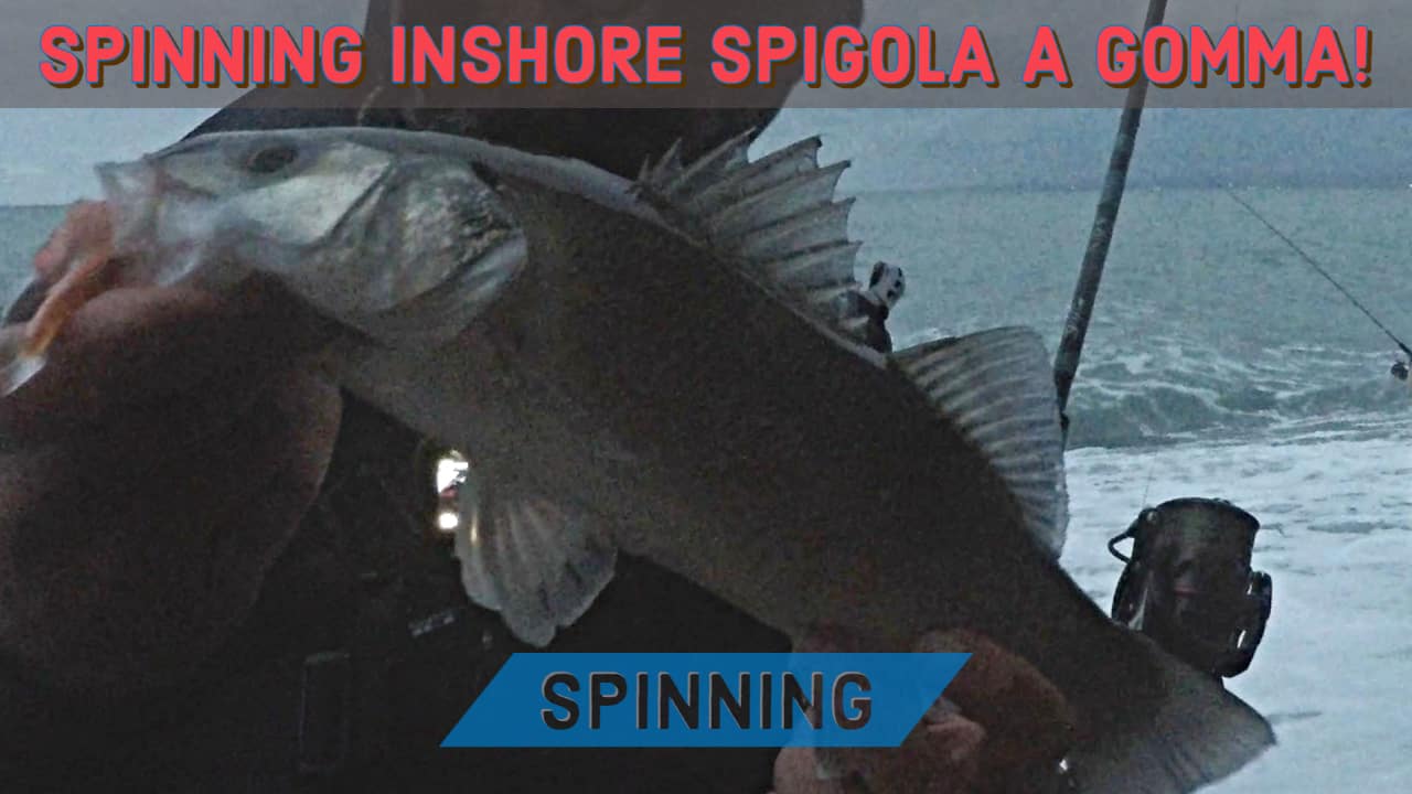Esca Artificiale Needle Fish Lure - Aguglia Artificiale Per Pesca Spinning Al Tonno E Pesce Serra Artificiale Da 20.5 Cm 30 Gr