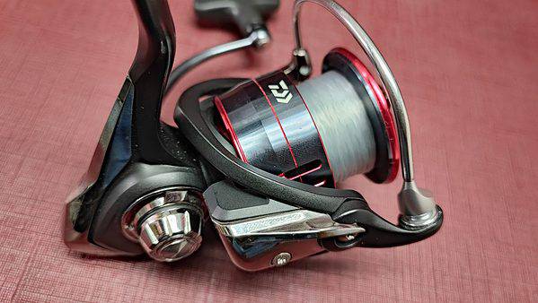 DAIWA FUEGO LT 3000C - immagine 2