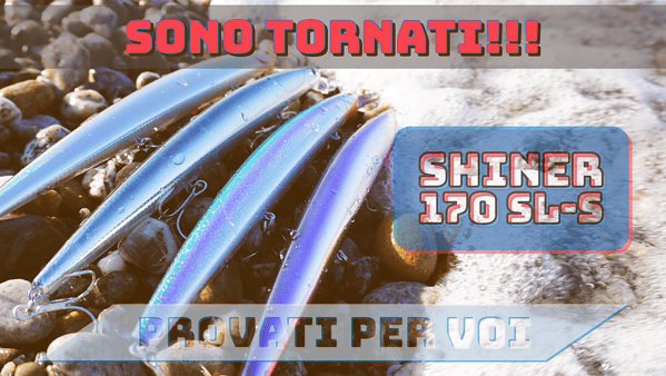 daiwa shiner tournament 170 sl-s