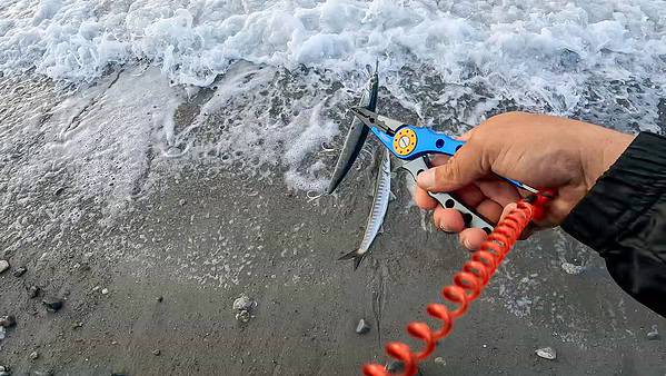 Pinza SPLIT-RING noeby media - immagine 4