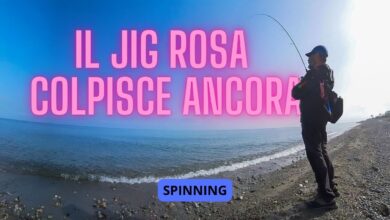 Il Ritorno del Jig Rosa: Light Jigging con la Canna da Spinning in Acqua Salata