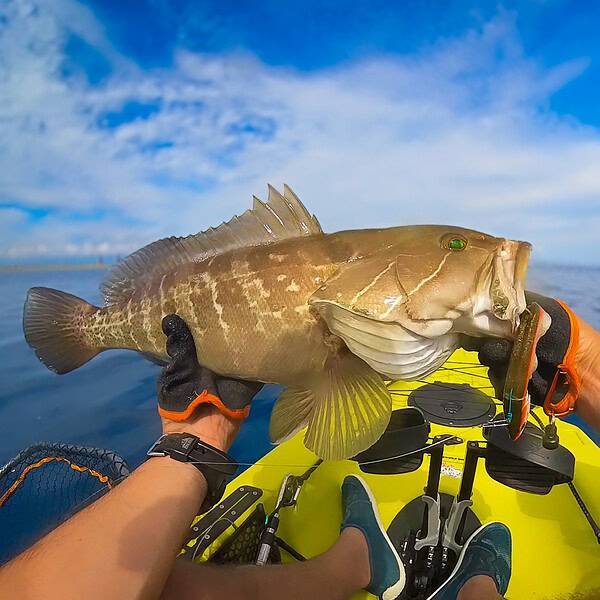 Savage Gear - Guanto protettivo Aqua Guard Gloves - immagine 2