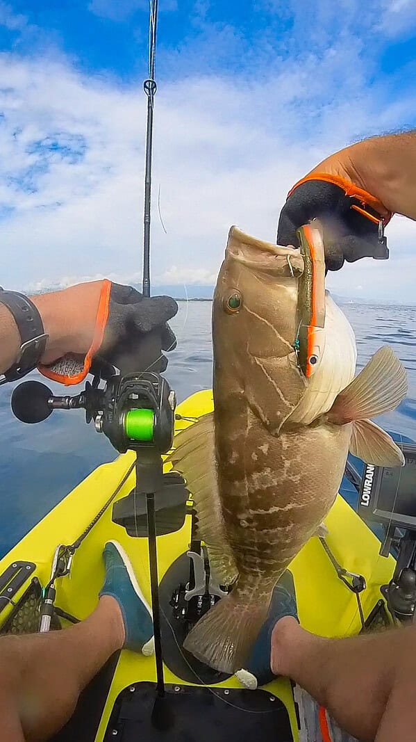 Savage Gear - Guanto protettivo Aqua Guard Gloves - immagine 5