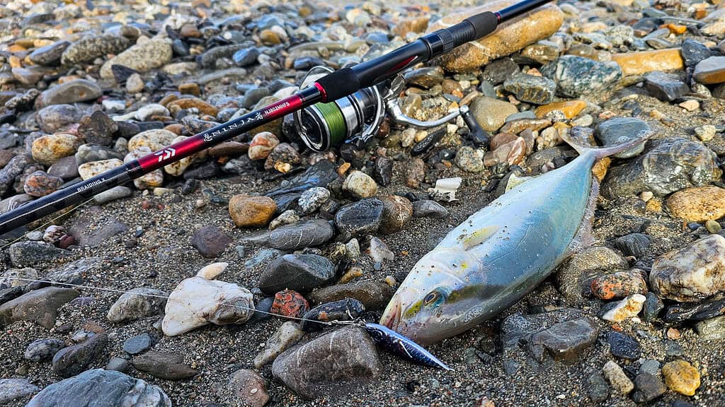 riccioletta catturata con il 3d jig bionic ultrarealistico