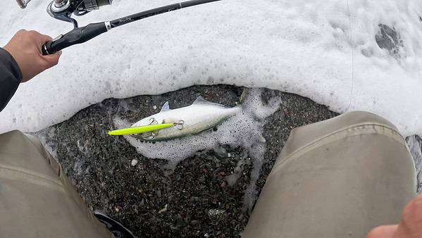 SHINER 170 SL-S Longjerk - immagine 4