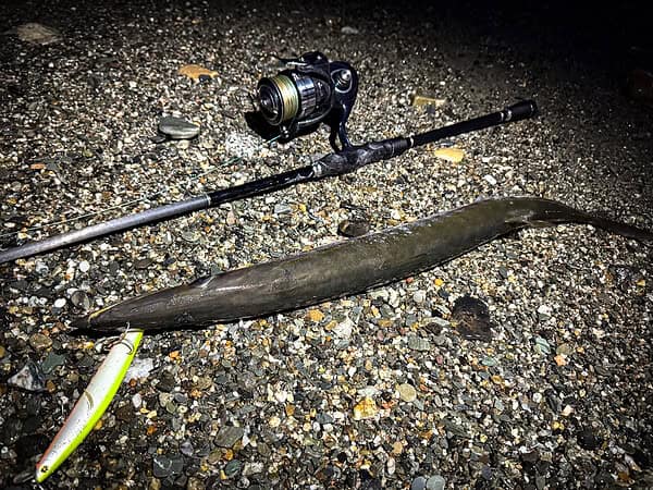 SHINER 170 SL-S Longjerk - immagine 3