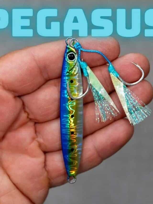 JIGGING PRO PEGASUS 35 GRAMMI