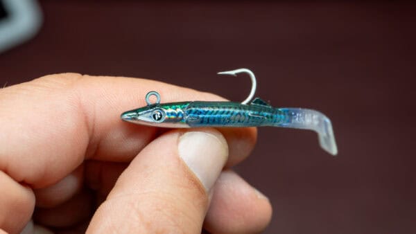 raglou hybrid - immagine 2