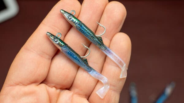 raglou hybrid - immagine 3