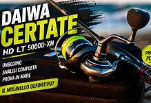 daiwa certate hd lt 5000