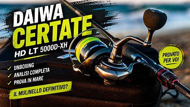 daiwa certate hd lt 5000