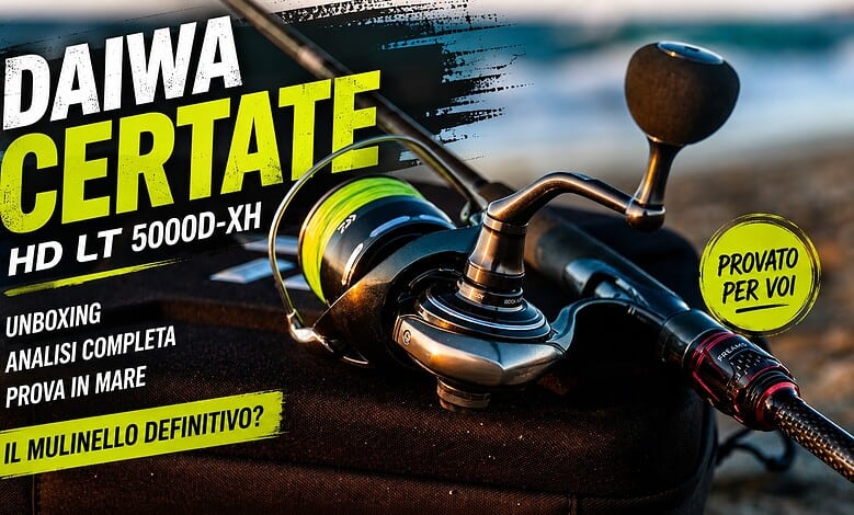 daiwa certate hd lt 5000
