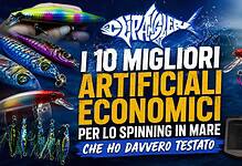 I 10 Migliori Artificiali Economici per lo Spinning in Mare che Ho Davvero Testato