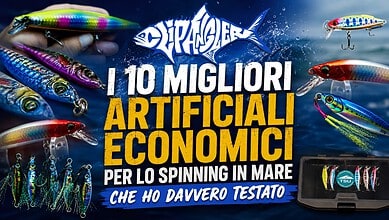 I 10 Migliori Artificiali Economici per lo Spinning in Mare che Ho Davvero Testato