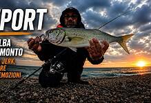 dall'alba al tramonto report spinning inshore