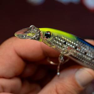 DAIWA Shoreline Shiner Z Vertice R Laser Impact 125F