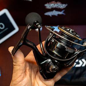 Daiwa Freams LT 5000D-CXH - immagine 3