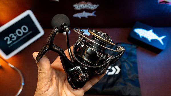 Daiwa Freams LT 5000D-CXH - immagine 3