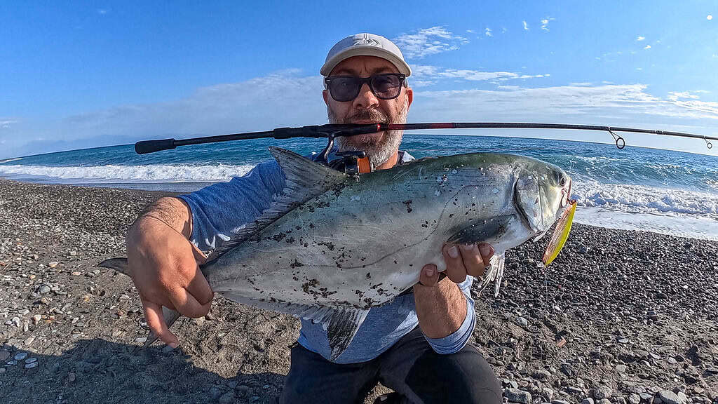 LECCIA AMIA A SPINNING INSHORE CON IL DAIWA LASER IMPACT