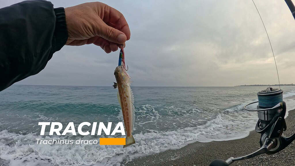 tracina sul jig