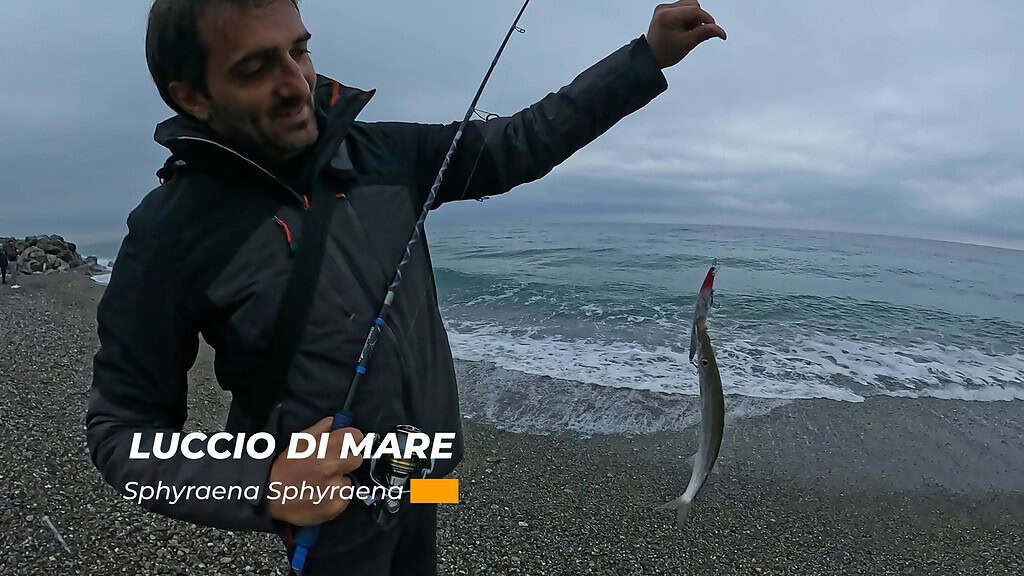 luccio di mare catturato da Simone