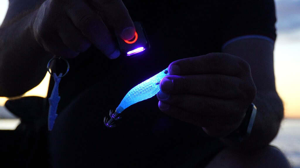 SOFIRN SE1 - LUCE UV