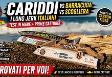cariddi life under spinning