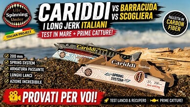 cariddi life under spinning