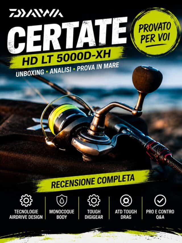 DAIWA CERTATE HD LT 5000