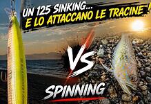 tracine e laser impact