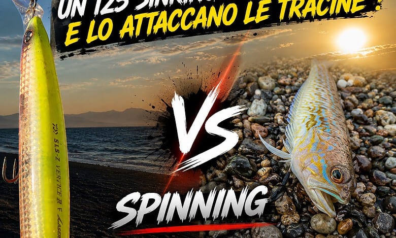tracine e laser impact